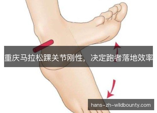 重庆马拉松踝关节刚性,决定跑者落地效率 重庆马拉松踝关节刚性,决定跑者落地效率